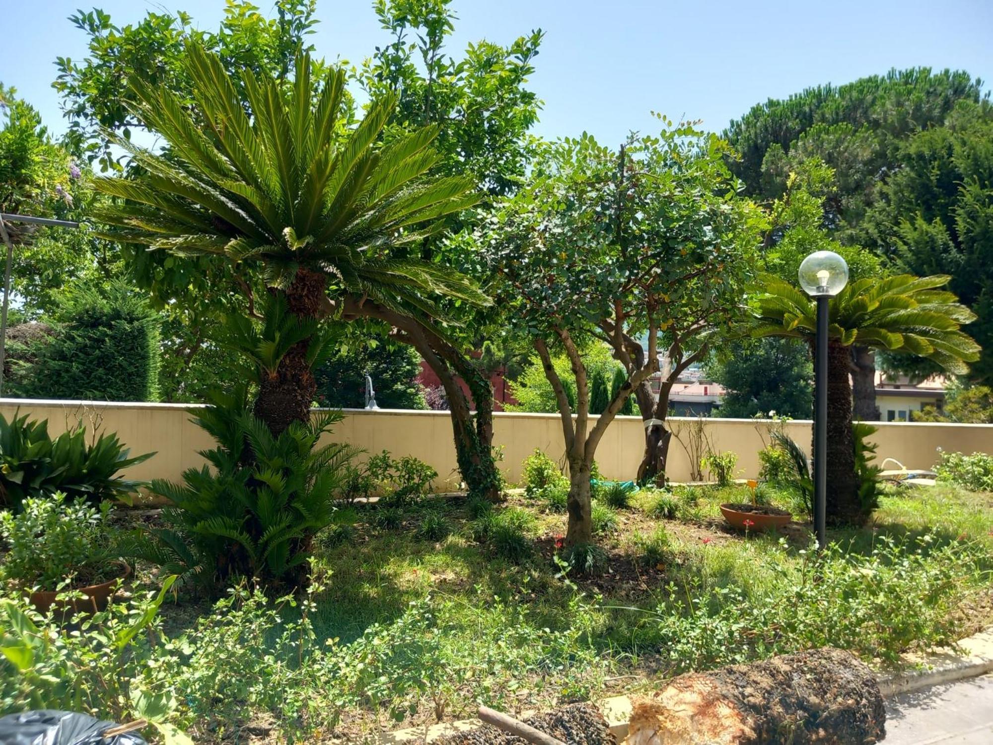 Villa Maria Cristina D'Amico 카바드티레니 외부 사진